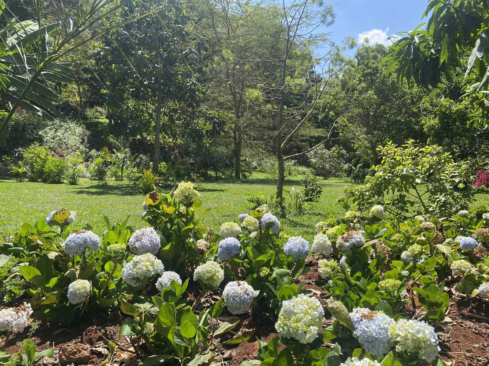 Maarifa Park - Gallery 13